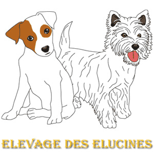 Des elucines